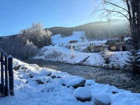 Apartmán v Koutech, Kouty